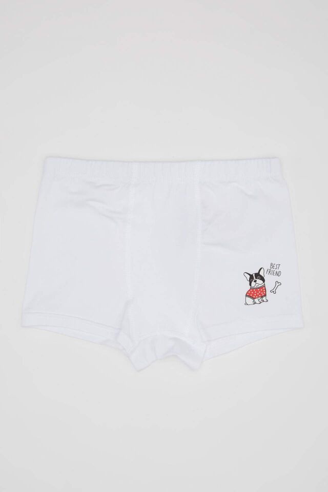 Erkek Çocuk Desenli 3'lü Boxer