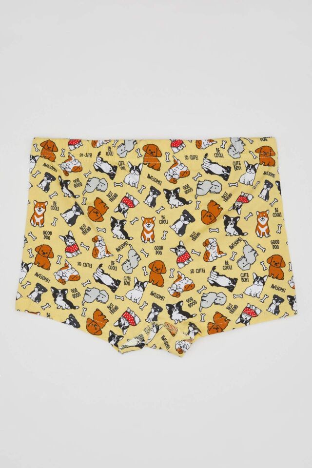 Erkek Çocuk Desenli 3'lü Boxer