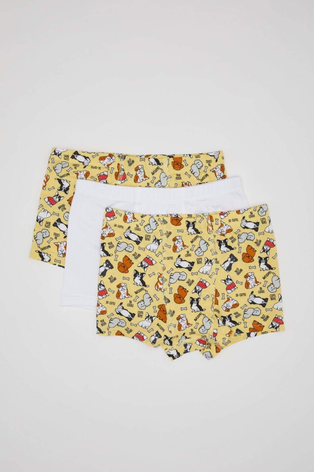 Erkek Çocuk Desenli 3'lü Boxer