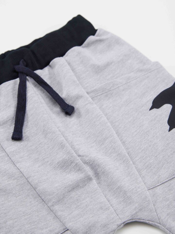 T-rex Info Erkek Çocuk T-shirt Kapri Şort Takım