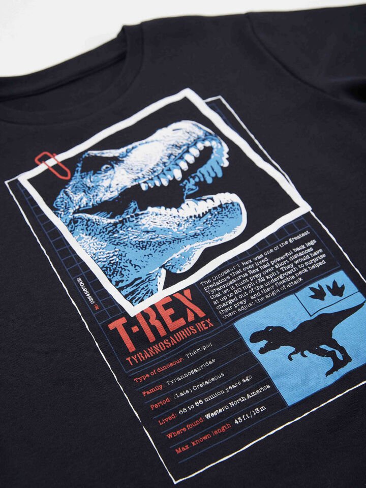 T-rex Info Erkek Çocuk T-shirt Kapri Şort Takım 4 Y - Lacivert, Gri