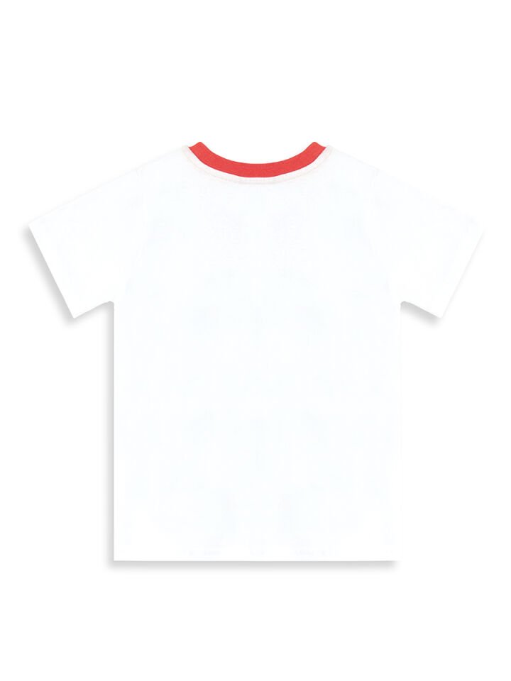 Timsah Baggy Erkek Çocuk T-shirt Şort Takım 3 Y - Beyaz Gri Yeşil