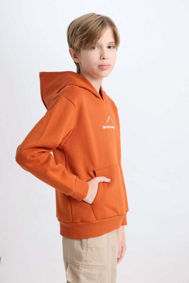 Erkek Çocuk Kapüşonlu Sırt Baskılı Nakışlı Kalın Sweatshirt