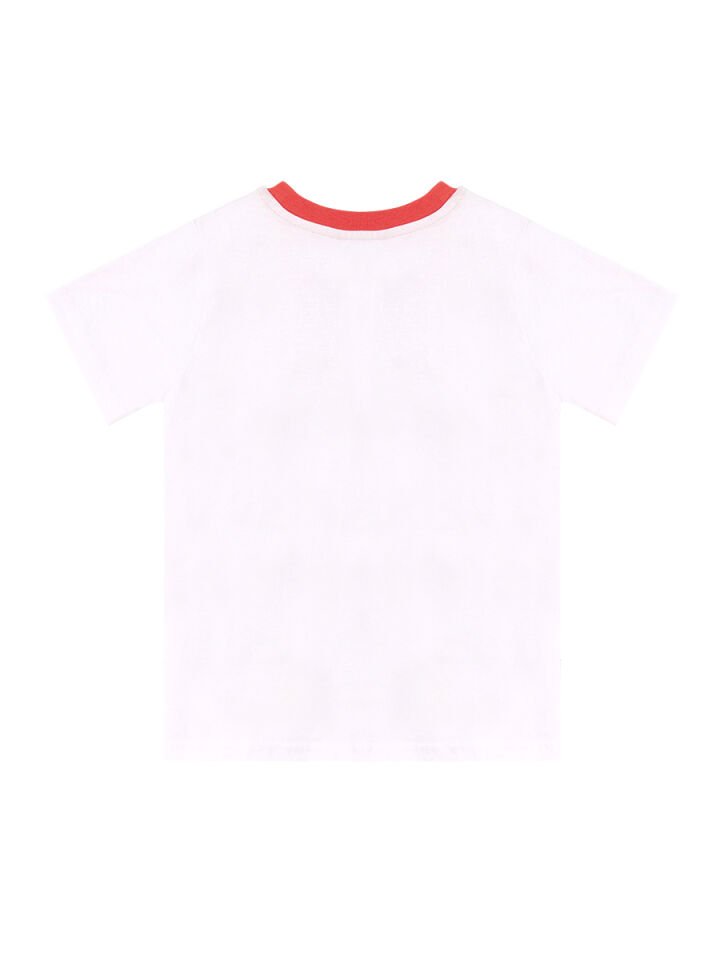 Timsah Baggy Erkek Çocuk T-shirt Şort Takım 5 Y - Beyaz Gri Yeşil