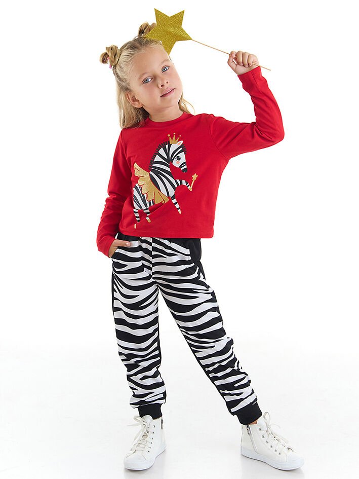 Balerin Zebra Kız Çocuk T-shirt Pantolon Takım 2 Y