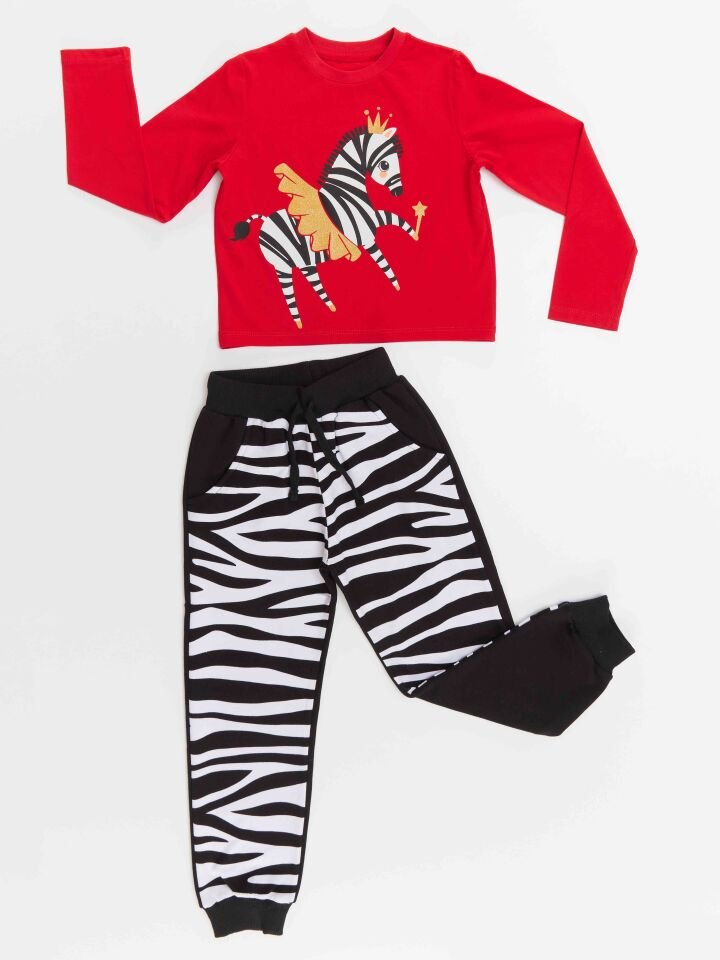 Balerin Zebra Kız Çocuk T-shirt Pantolon Takım 3 Y