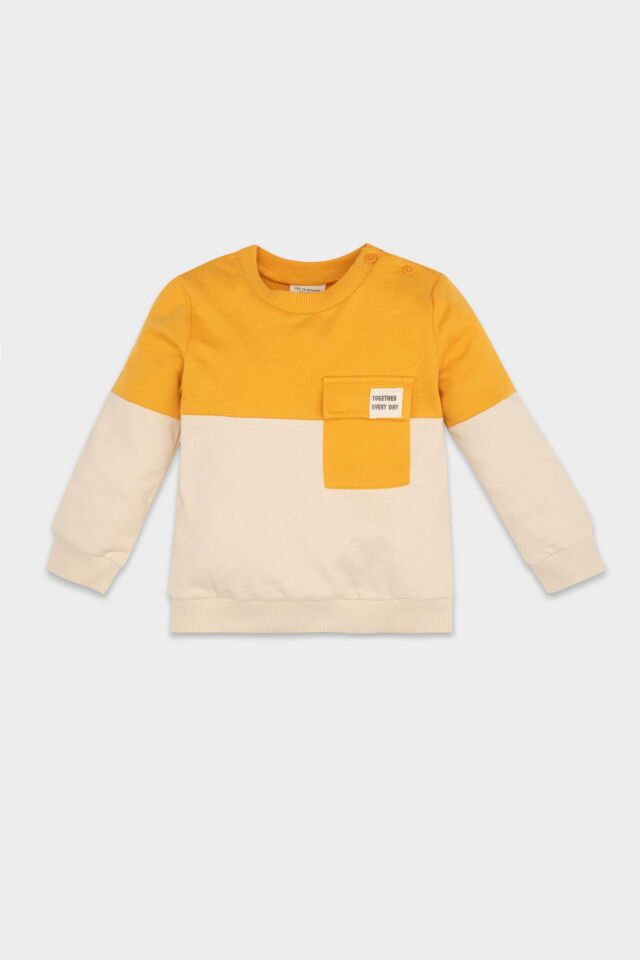 Erkek Bebek %100 Pamuk Bisiklet Yaka Renk Bloklu İçi Yumuşak Tüylü Sweatshirt