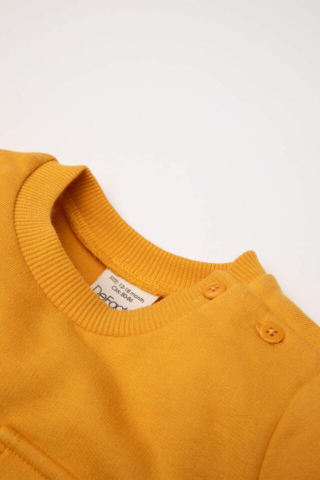 Erkek Bebek %100 Pamuk Bisiklet Yaka Renk Bloklu İçi Yumuşak Tüylü Sweatshirt