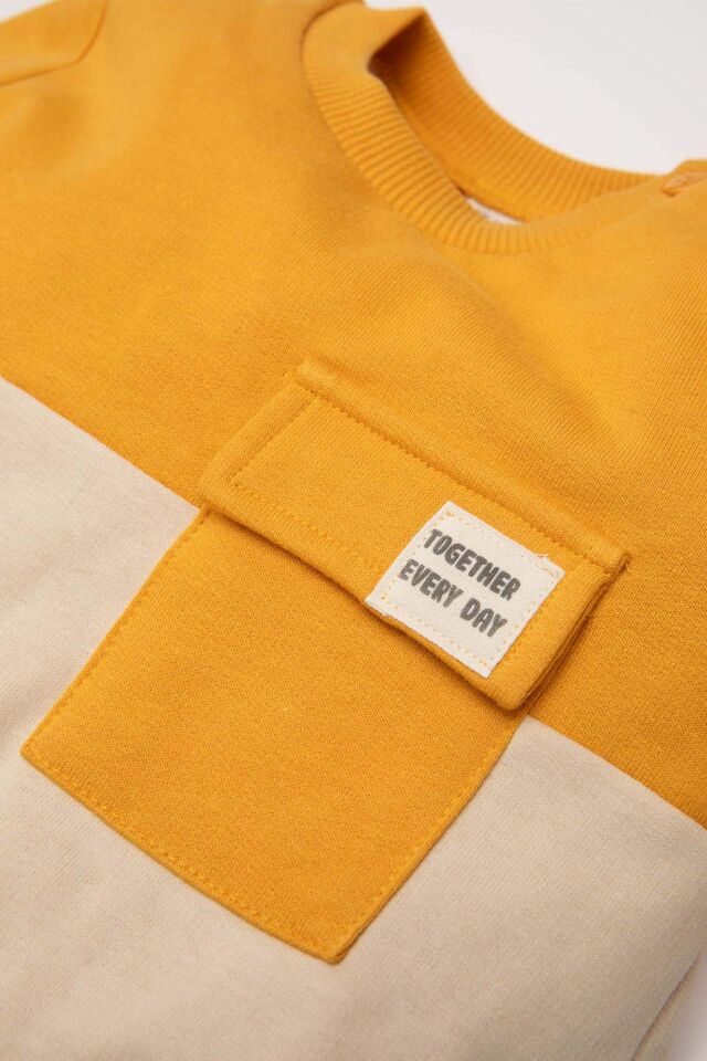 Erkek Bebek %100 Pamuk Bisiklet Yaka Renk Bloklu İçi Yumuşak Tüylü Sweatshirt
