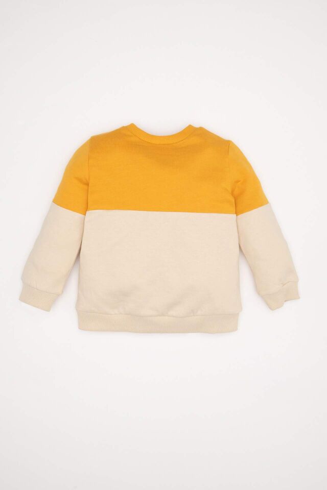 Erkek Bebek %100 Pamuk Bisiklet Yaka Renk Bloklu İçi Yumuşak Tüylü Sweatshirt