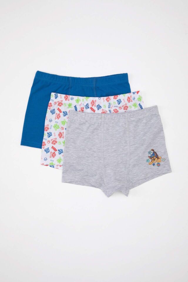 Erkek Çocuk Paw Patrol Desenli 3'lü Boxer