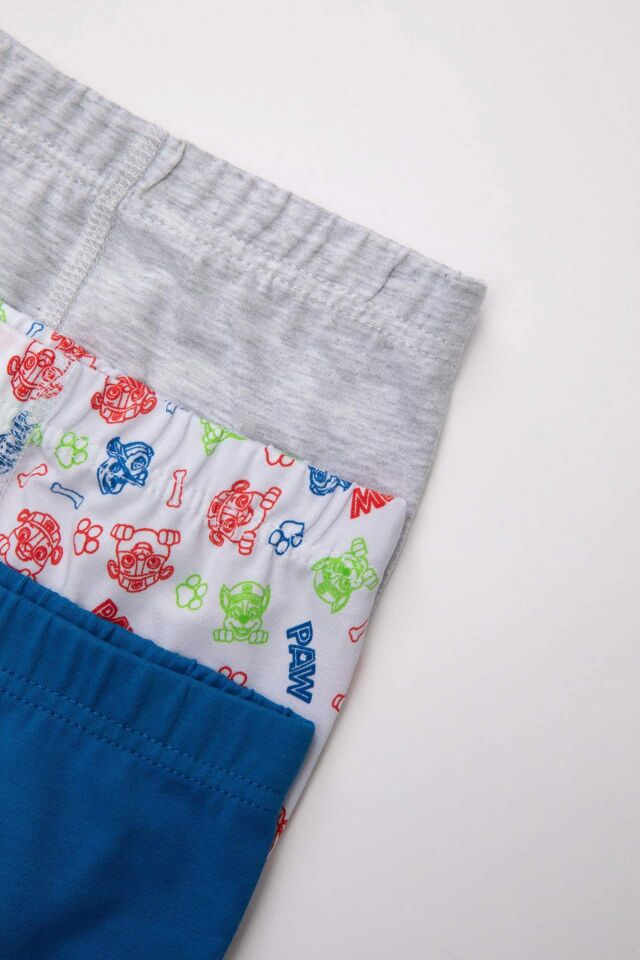 Erkek Çocuk Paw Patrol Desenli 3'lü Boxer