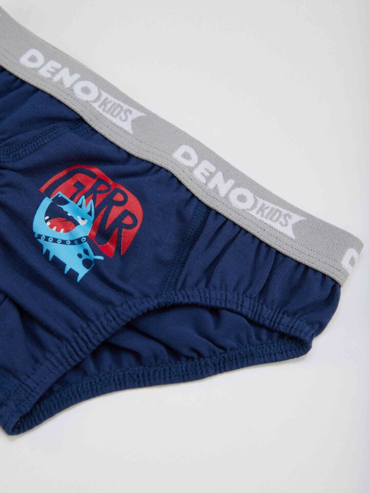 Erkek Çocuk Gri-Lacivert-Mavi 3 Adet Slip Takım