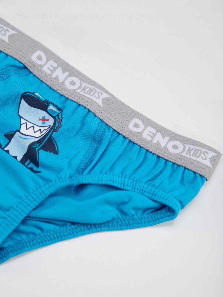 Erkek Çocuk Gri-Lacivert-Mavi 3 Adet Slip Takım