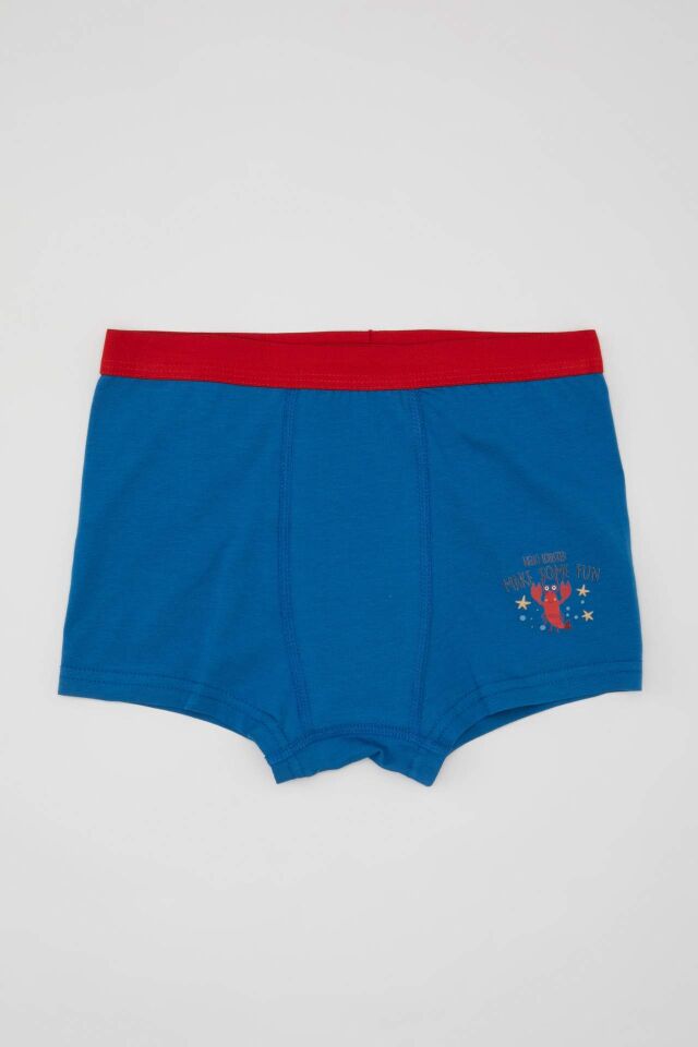 Erkek Çocuk Desenli 3'lü Boxer