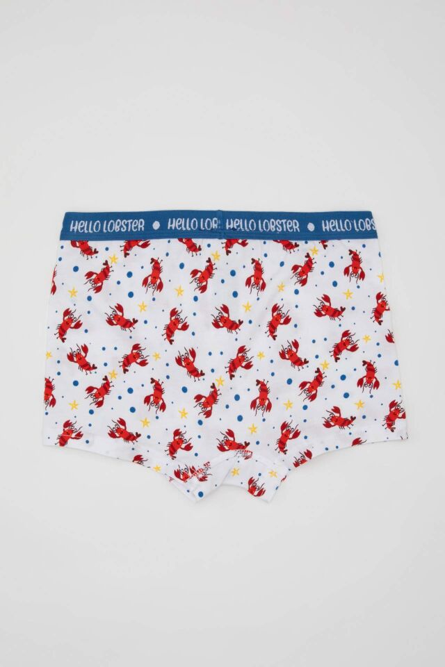 Erkek Çocuk Desenli 3'lü Boxer