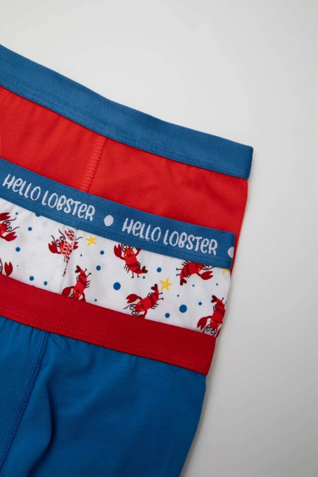 Erkek Çocuk Desenli 3'lü Boxer