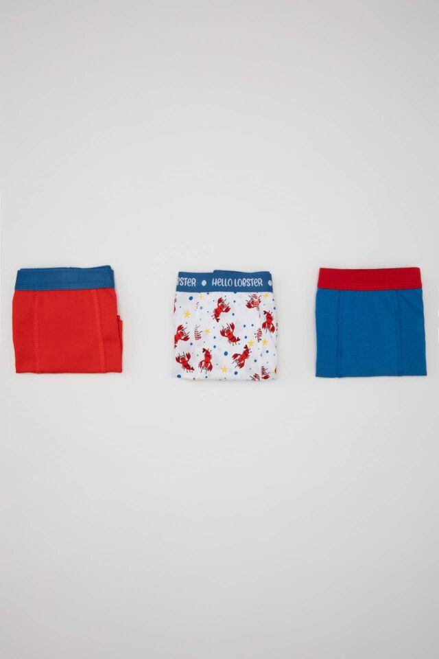 Erkek Çocuk Desenli 3'lü Boxer