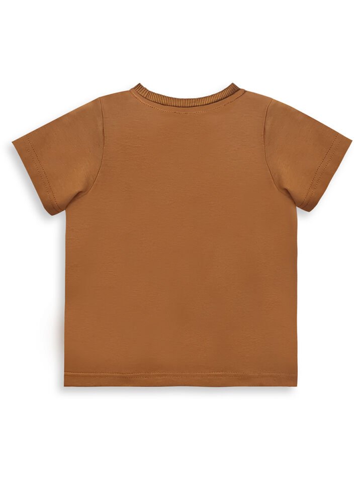 Dinozor Erkek Bebek T-shirt Kaşkorse Şort Takım