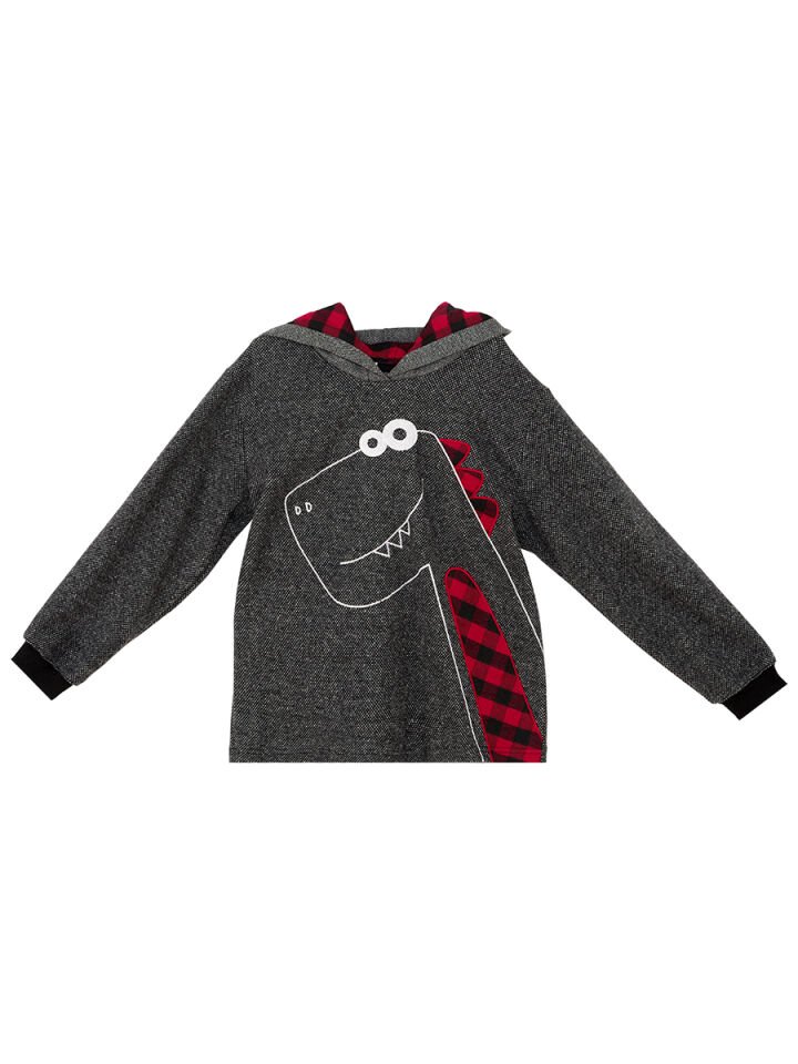 Dino Erkek Çocuk Kapüşonlu Sweatshirt 3 Y - Antresit