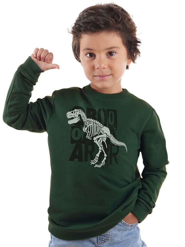 Roarr Dino Erkek Çocuk Haki Sweatshirt