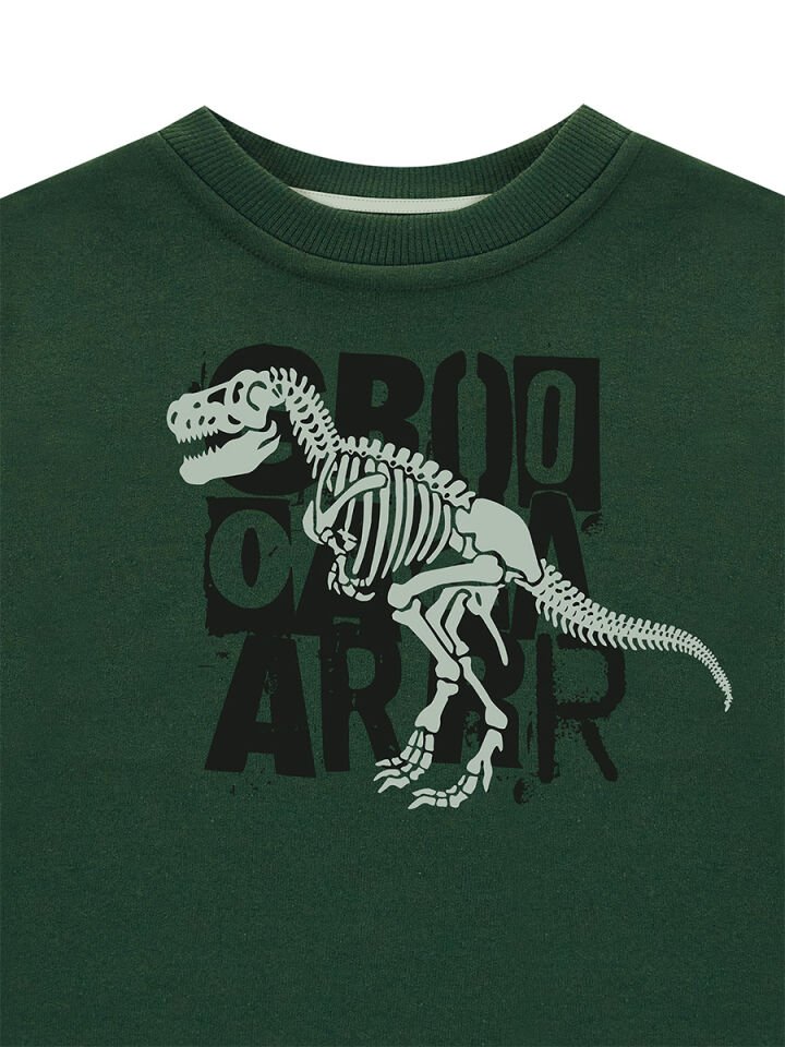 Roarr Dino Erkek Çocuk Haki Sweatshirt