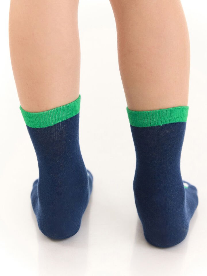 Tırtır Dino Erkek Çocuk 2li Soket Çorap Takım 8-9 Y - Lacivert, Yeşil