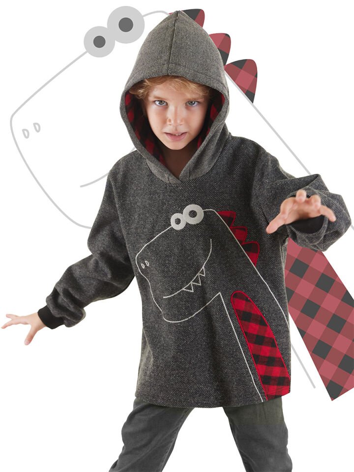 Dino Erkek Çocuk Kapüşonlu Sweatshirt 3 Y - Antresit