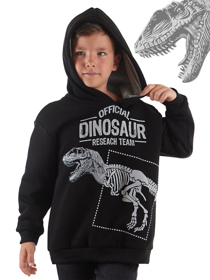 Dino Research Erkek Çocuk Sweatshirt