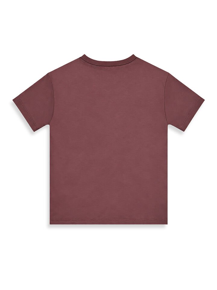 Cool Tiger Erkek Çocuk T-shirt Şort Takım