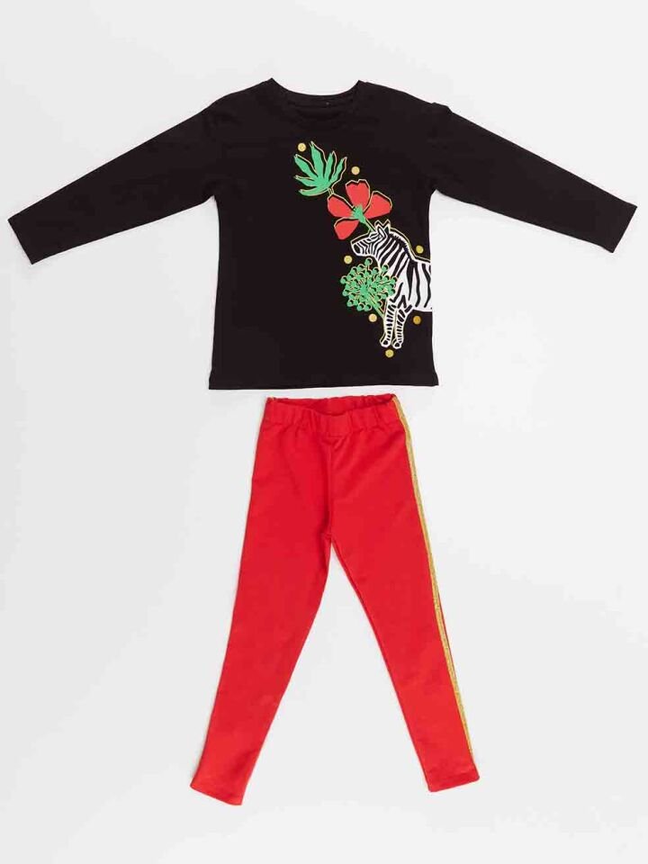 Çiçekli Zebra Kız Çocuk T-Shirt Tayt Takım 9 Y - Siyah, Kırmızı
