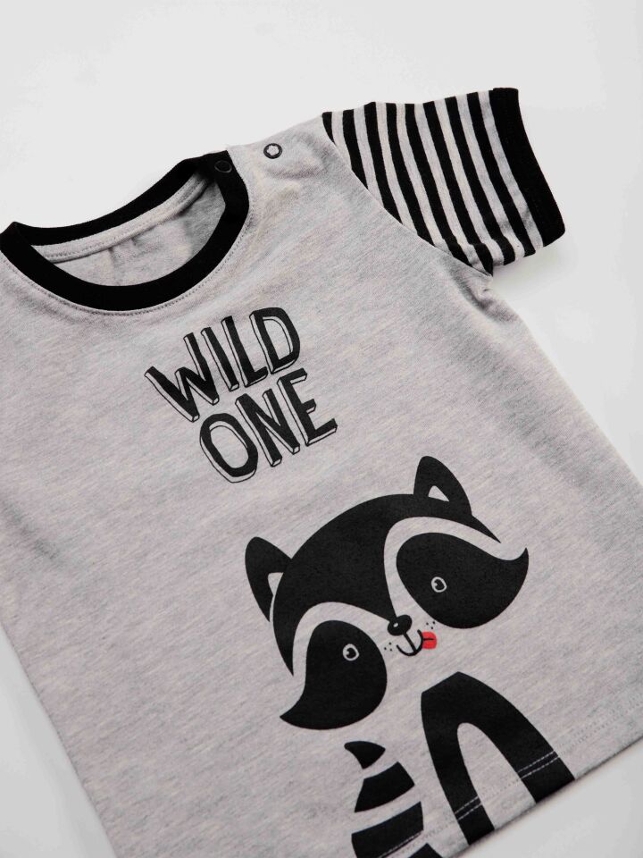 Rakun Erkek Bebek T-shirt Kapri Şort Takım 18-24 M - Gri