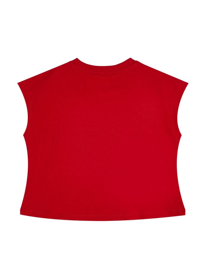 Kanka Kediler Kız Çocuk T-shirt Tüllü Tütü Etek Takım