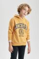 Erkek Çocuk Oversize Geniş Kalıp Kapüşonlu Baskılı Sweatshirt