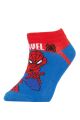 Erkek Çocuk Marvel Spiderman Pamuklu 3'lü Patik Çorap