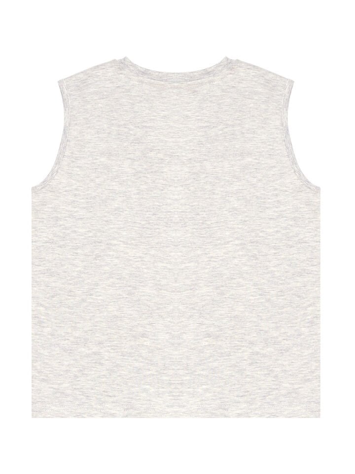 Kaykay Dino Erkek Çocuk T-shirt Şort Takım