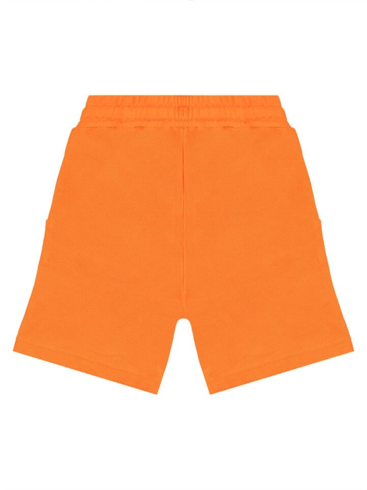 Kaykay Dino Erkek Çocuk T-shirt Şort Takım