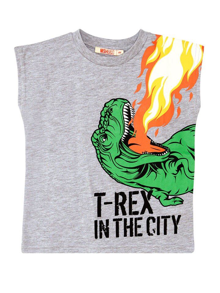 T-Rex Alev Erkek Çocuk T-Shirt Şort Takım 9 Y - Turuncu, Gri