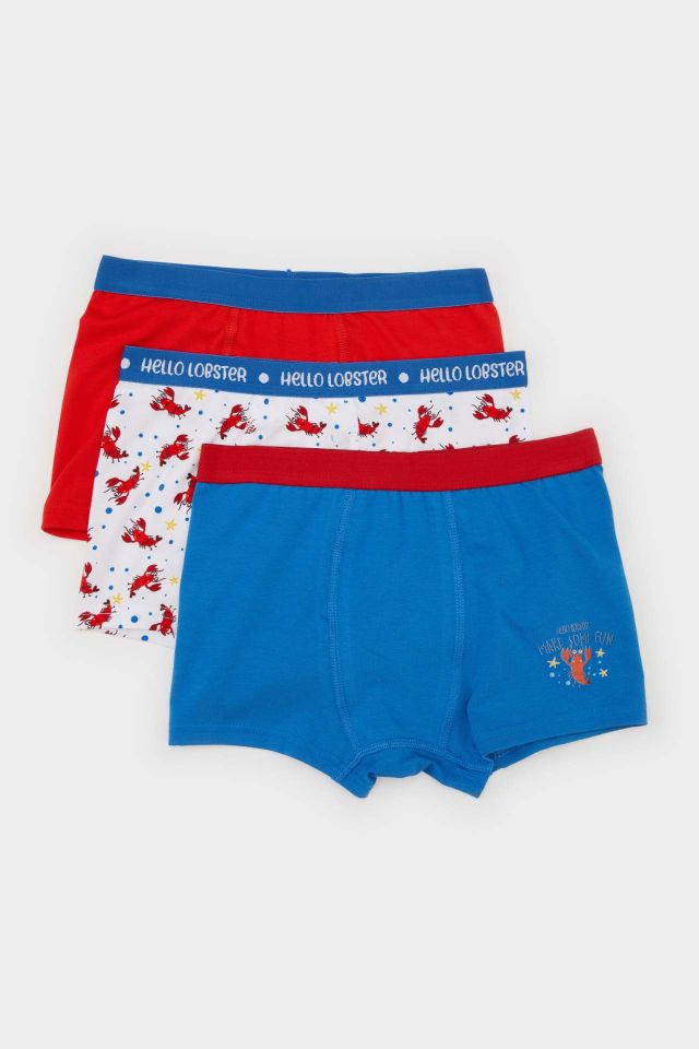 Erkek Çocuk Baskılı 3'lü Boxer