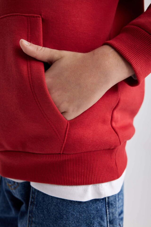 Erkek Çocuk Basic Düz Kapüşonlu Sweatshirt