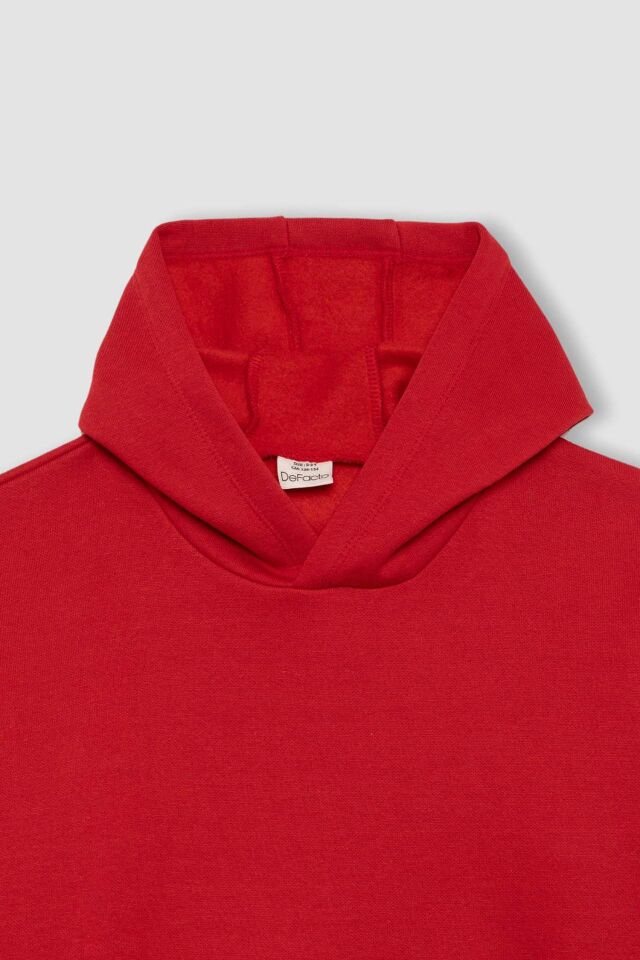 Erkek Çocuk Basic Düz Kapüşonlu Sweatshirt