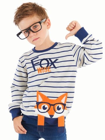 Tilki Çizgili Erkek Çocuk Sweatshirt