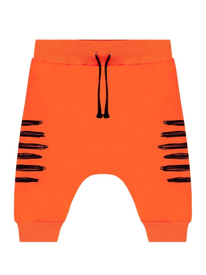 Roar Kaplan Erkek Çocuk T-shirt Kapri Şort Takım