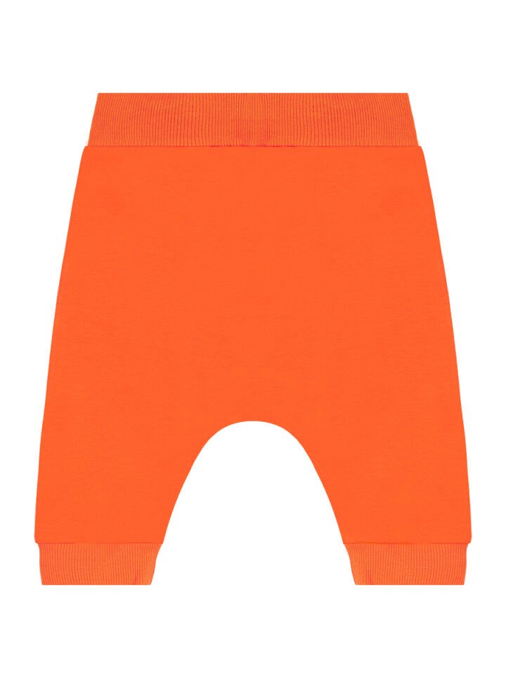 Roar Kaplan Erkek Çocuk T-shirt Kapri Şort Takım