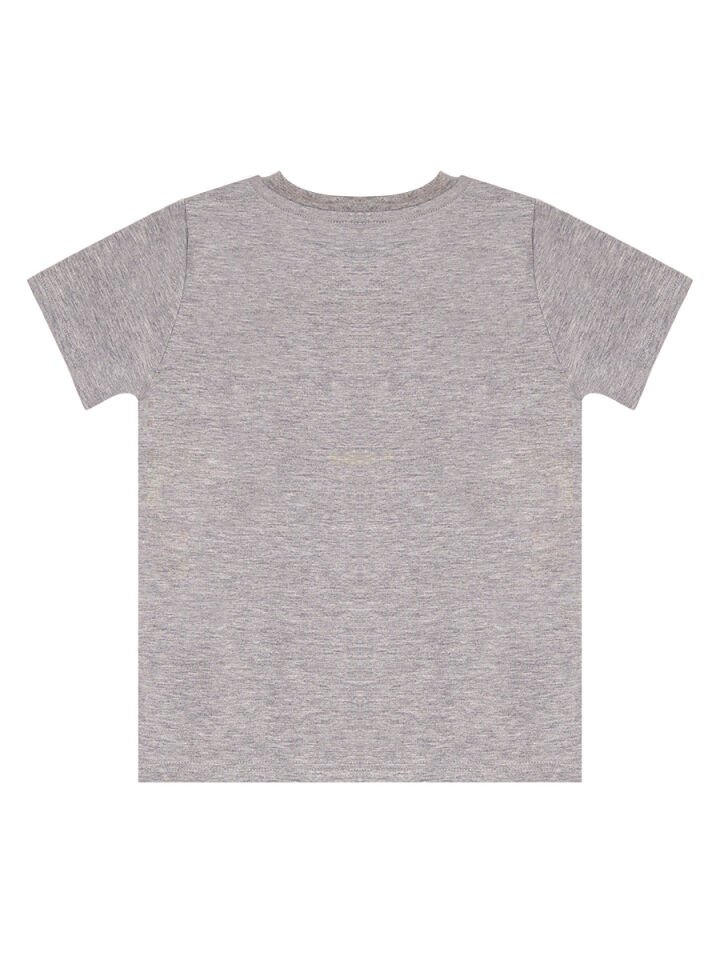 Roar Kaplan Erkek Çocuk T-shirt Kapri Şort Takım 3 Y - Gri, Turuncu