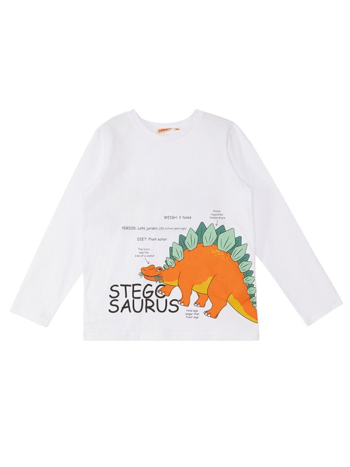 Stegosaurus Erkek Çocuk T-shirt Pantolon Takım