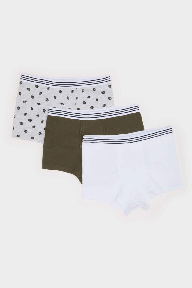 Erkek Çocuk Kaktüs Desenli 3'lü Boxer