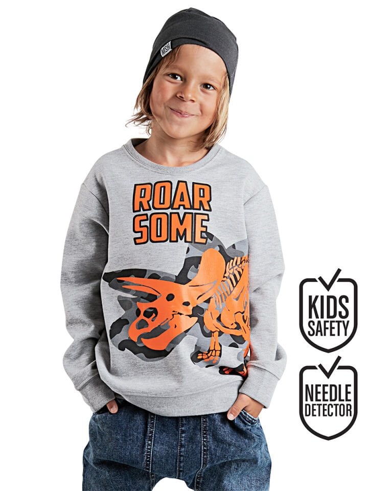 Roar Erkek Çocuk Gri Sweatshirt