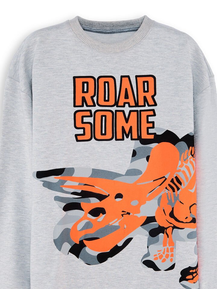 Roar Erkek Çocuk Gri Sweatshirt