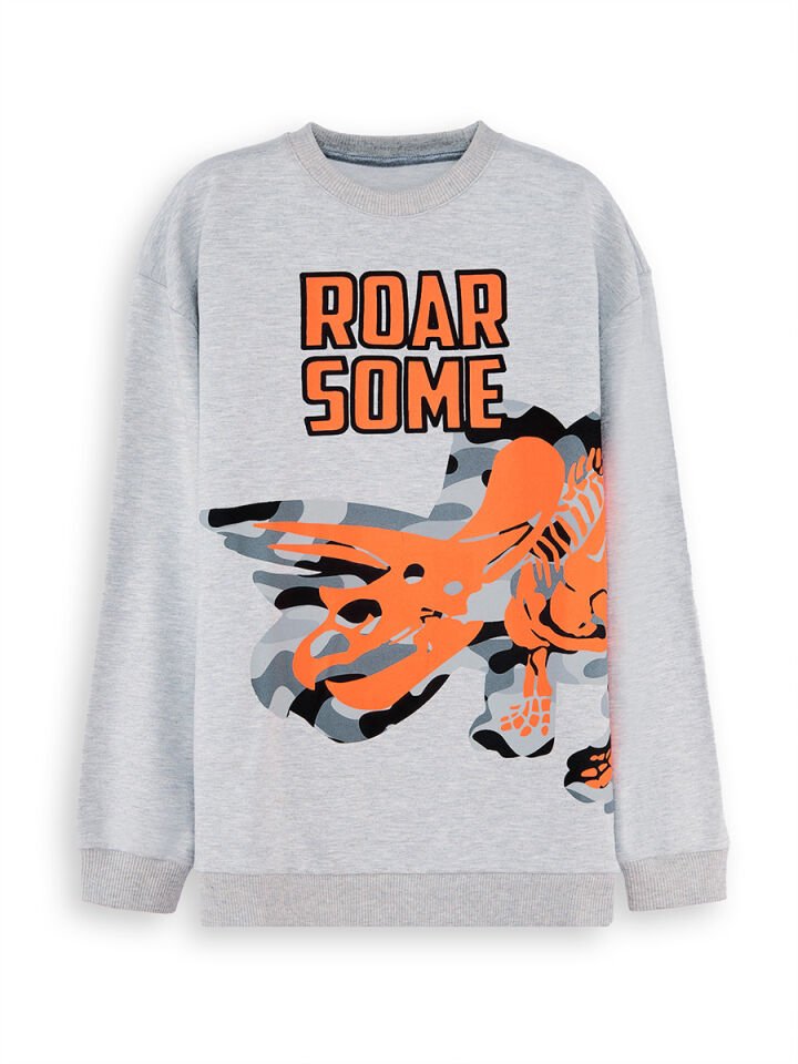 Roar Erkek Çocuk Gri Sweatshirt 4 Y - Gri